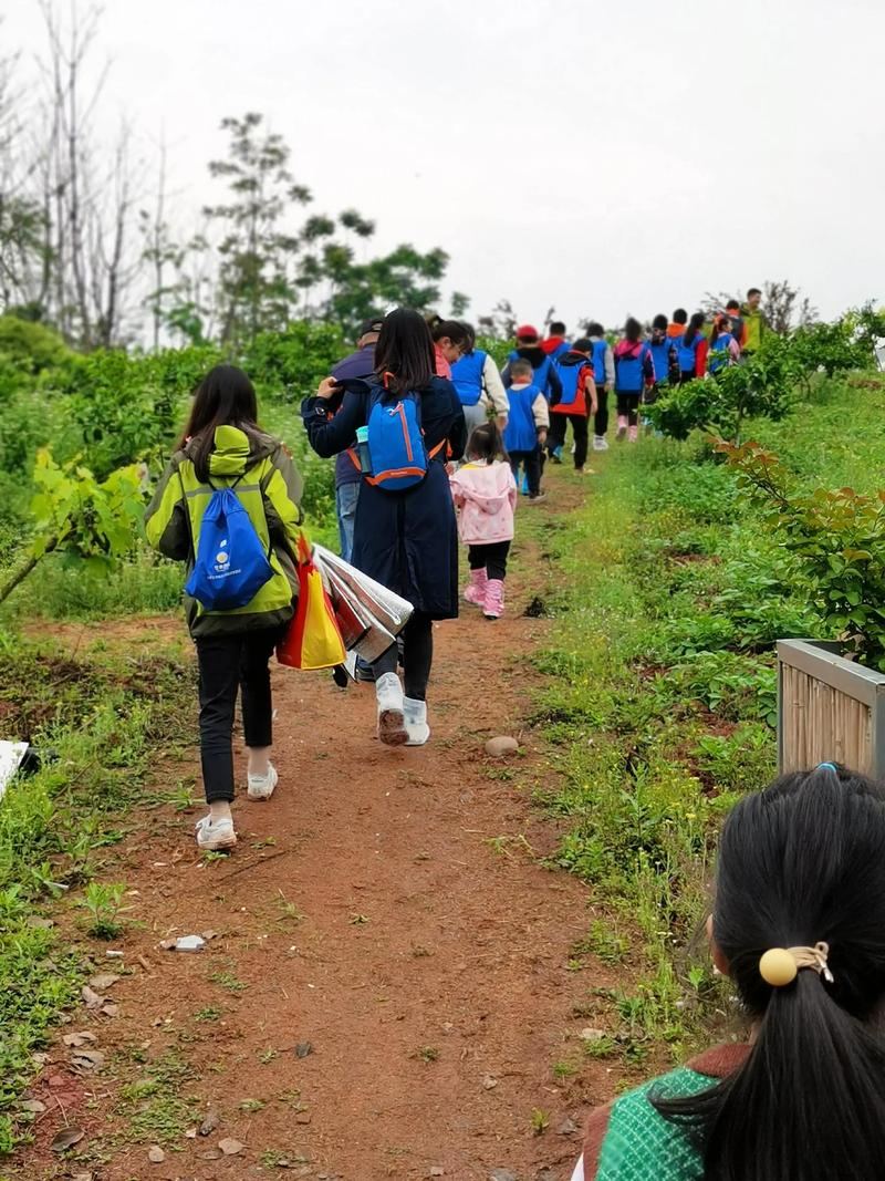 研学旅行见闻 游记作文900字 研学旅行见闻 游记作文900字